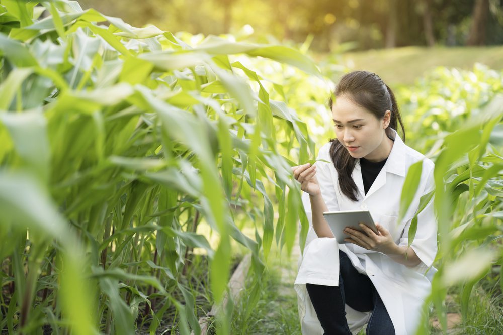 agricultural inspector